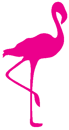 Saratoga's Pink Flamingo mascot